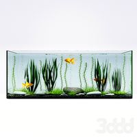 Aquarium