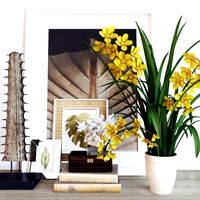 Decoration set Cymbidium Orchid
