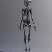 Anime Skeleton