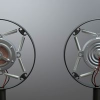 Carbon ringmount microphone