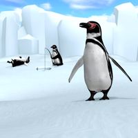 Pinguinos