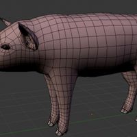 Pig