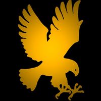 Hawk Logo