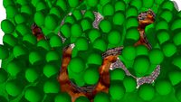 Mario Kart 64 hack: pike pkwy