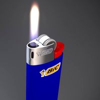 My BiC Lighter