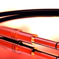 Guitar Cord
