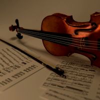 Violin