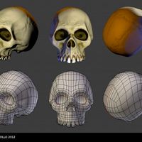 Low Poly Skull