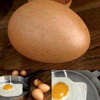 Eggs and frying pan