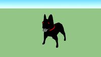 creepy dog