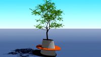 Superline Galileo Planter / Bench with tree
