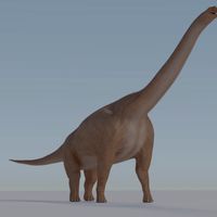 Brachiosaurus-Cycles-Rigged