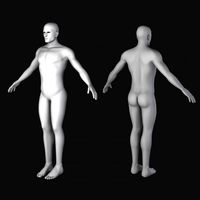 Human Male Basemesh
