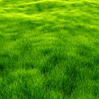 Internal is NOT dead!!! - Grass Render