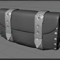 Pouches