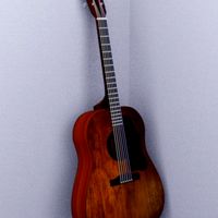 Guitar Acoustic