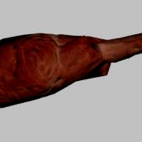 Chicken / turkey leg bone with meet