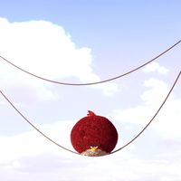 Terence (Angry Birds)