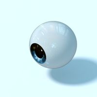 An eye.