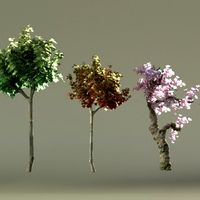 Trees - The Battle Begins Assets