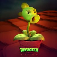 Repeater