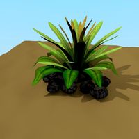 Low Poly PLANT
