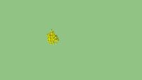 frites