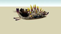 Felucian giant Slug