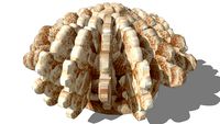 corail deco, maisons du monde, ref 130585 prix 39