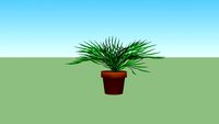 Maceta con plantas