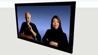Video Conference Display