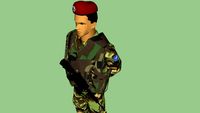 Italian Army, Folgore soldier