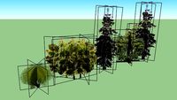 Plants in Kremlin