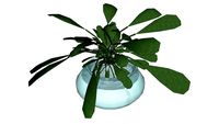 Planta interna :: http://designertiagocrisostomo.blogspot.com