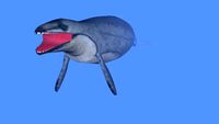 Basilosaurus Cetoides (With textures from BBC seamonsters )