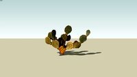 Prickly Pear