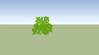 Apfel Baum