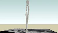 Male / Female Sculpture, Bielefeld