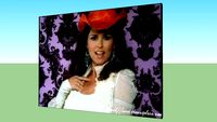 Frame of Shania Twain