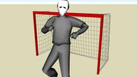 Hockey Net