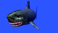 Carcharodon Megalodon V2 (With textures from BBC seamonsters)