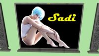 pantalla sadi