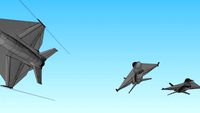 F 16 +