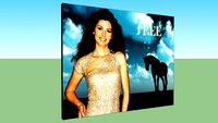 Posters Shania Twain :)