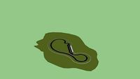 Road Course Racetrack