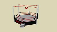 TNA Six Sided Ring-Ultimate X