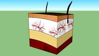 Allenby Dermatology - Enjoy Beautiful Skin