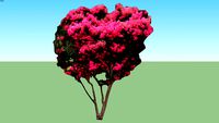 2D Crape Myrtle