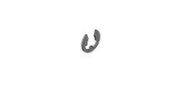 08920108 Retaining washers for shafts DIN 6799 7