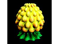 Alien Plant Plumpkin by Petal3D